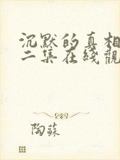 沉默的真相第十二集在线观看