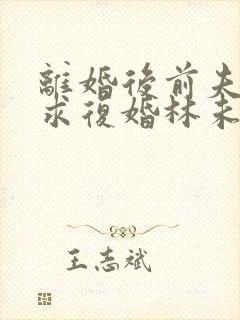 离婚后前夫哭着求复婚林未央完整版封面