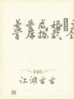 惹爱成婚·染指首席总裁 全文阅读