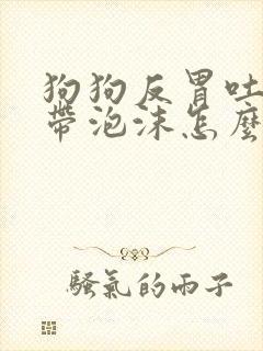 狗狗反胃吐黄水带泡沫怎么办