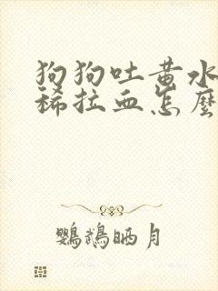 狗狗吐黄水又拉稀拉血怎么办