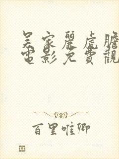 吴家丽虎胆风云电影免费观看