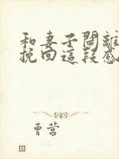 和妻子闹离婚想挽回这段感情封面