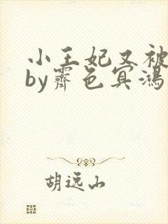 小王妃又被揍啦by霁色冥鸿