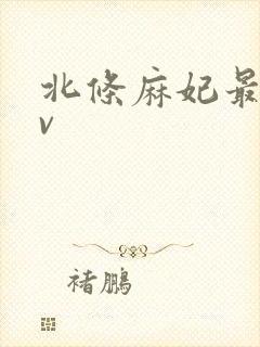 北条麻妃最猛av封面