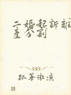 二婚起诉离婚财产分割