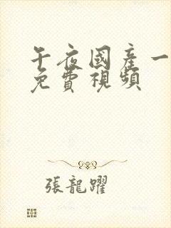 午夜国产一级片免费视频封面