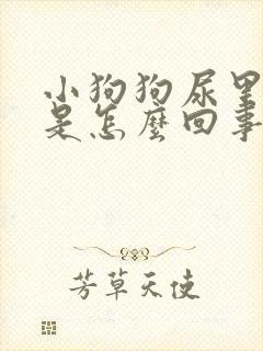 小狗狗尿里有血是怎么回事