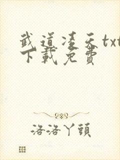 武道凌天txt下载免费
