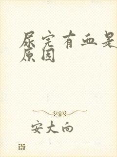 尿完有血是什么原因