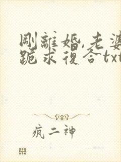 刚离婚,老婆就跪求复合txt下载全本