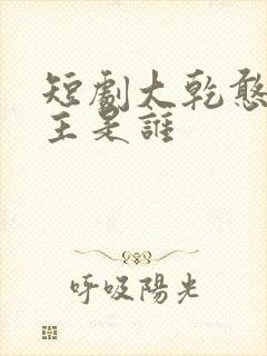 短剧大乾憨婿男主是谁