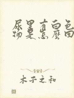 尿里有白色分泌物是怎么回事