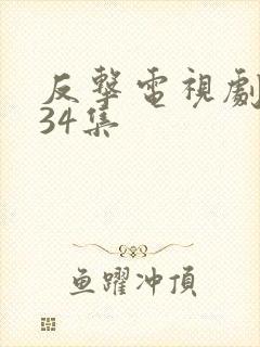 反击电视剧 全34集