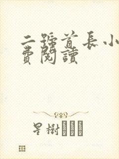 二号首长小说免费阅读