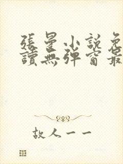 张曼小说免费阅读无弹窗最新章节