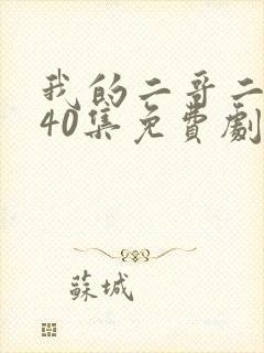 我的二哥二嫂全40集免费剧