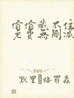 偷偷藏不住小说免费无删减