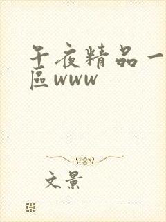 午夜精品一区二区www