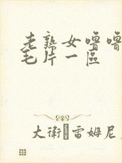 老熟女噜噜av毛片一区