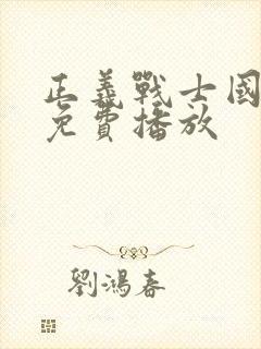 正义战士国语版免费播放