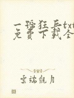 一号狂兵txt免费下载全本