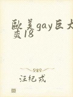 欧美gay巨大爽18封面