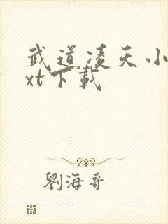 武道凌天小说txt下载封面