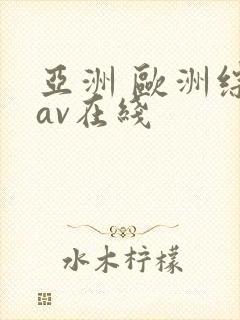 亚洲 欧洲综合av在线