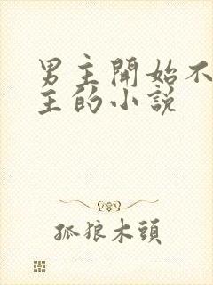 男主开始不爱女主的小说