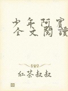 少 年 阿 宾 全 文 阅 读目录