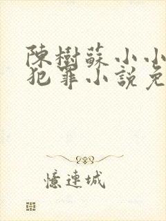 陈树苏小小完美犯罪小说免费观看