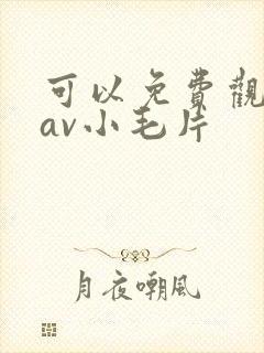 可以免费观看的av小毛片封面