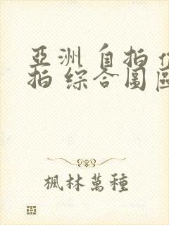 亚洲 自拍 偷拍 综合图区