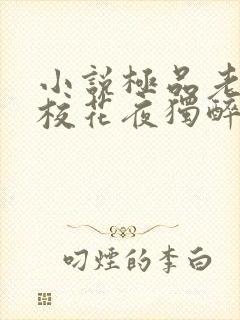 小说极品老师俏校花夜独醉