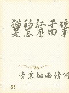 猫的肚子硬硬的是怎么回事