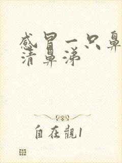 感冒一只鼻孔流清鼻涕