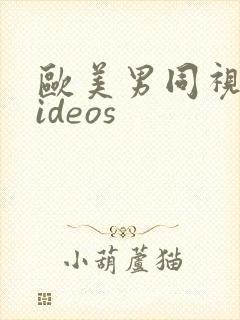 欧美男同视频videos封面