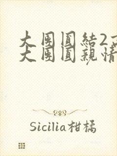 大团圆结2高敏大团圆亲情列车