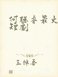 何聪睿最火十部短剧