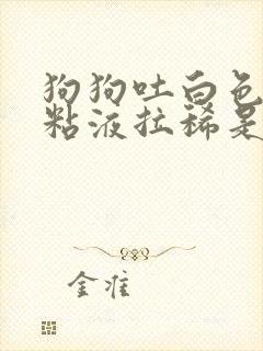 狗狗吐白色泡沫粘液拉稀是什么原因