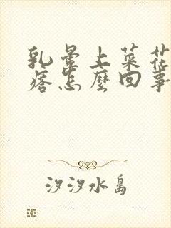 乳晕上菜花状疙瘩怎么回事