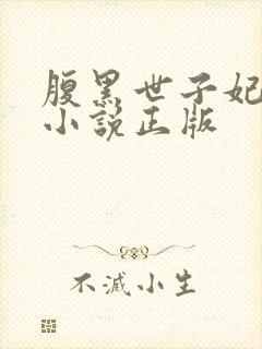 腹黑世子妃日常小说正版