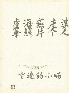 虞海燕老婆李岩华照片个人资料曝光封面