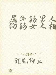 属牛的男人和属狗的女人相配吗封面