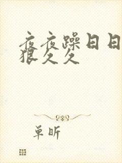 夜夜躁日日躁狠狠久久