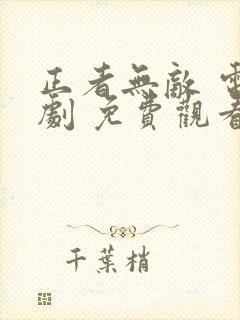 正者无敌 电视剧 免费观看