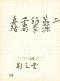 妻子的第二春大结局李源封面