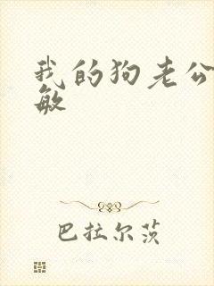 我的狗老公李淑敏