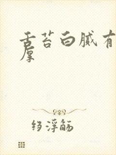 舌苔白腻有齿痕厚